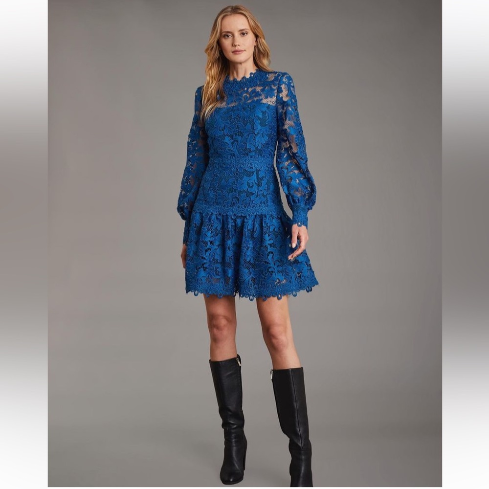 NWT Haute Hippie Tessa Lace long sleeve mini cocktail designer luxury dress - Picture 3 of 11